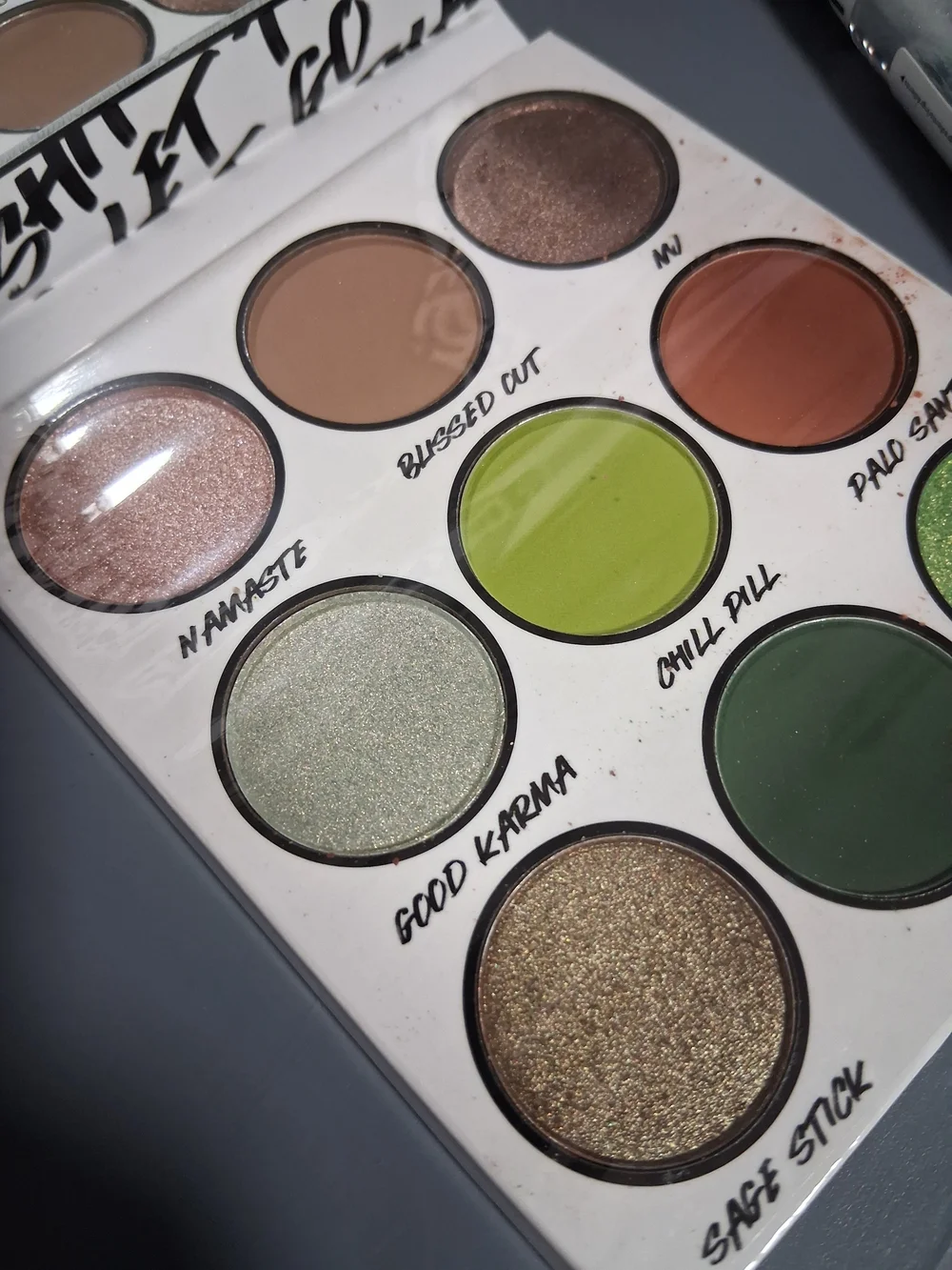 Let That Shit Go Palette + Shimmering Lip Gloss